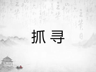 抓寻
