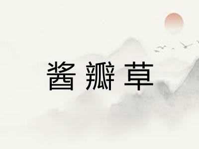 酱瓣草 酱瓣草