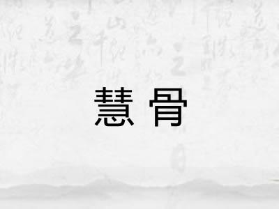慧骨 慧骨
