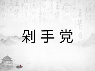 剁手党 剁手党