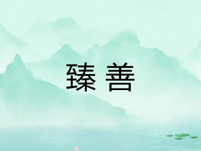 臻善 臻善