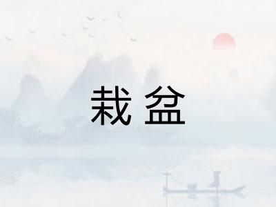 栽盆