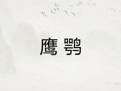 鹰鹗