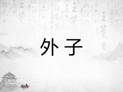 外子 外子
