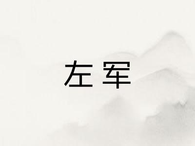 左军 左军