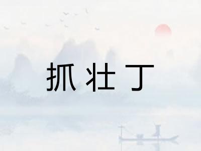 抓壮丁 抓壮丁