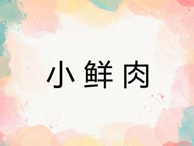 小鲜肉
