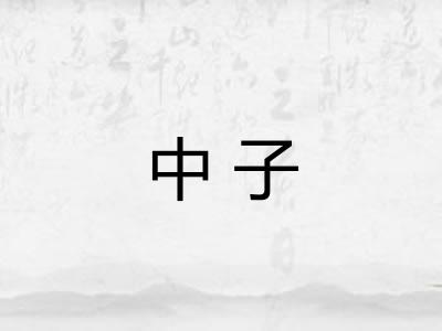 中子