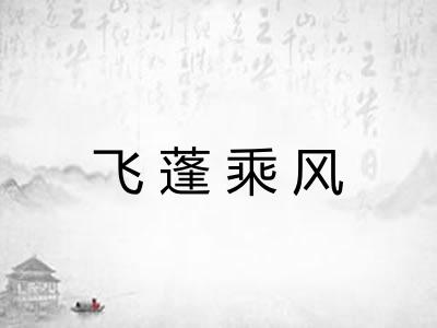 飞蓬乘风