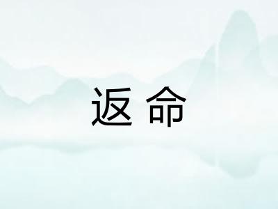 返命