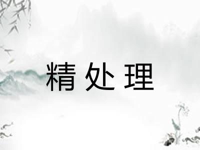 精处理 精处理