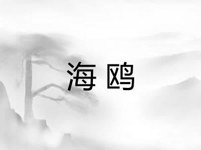 海鸥