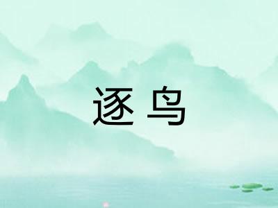 逐鸟