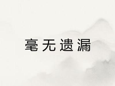 毫无遗漏 毫无遗漏