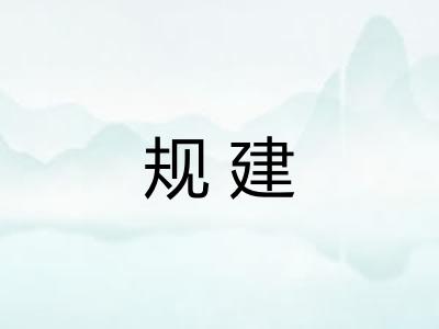 规建
