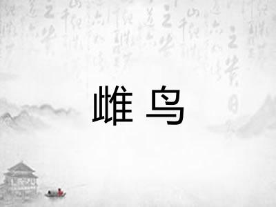 雌鸟