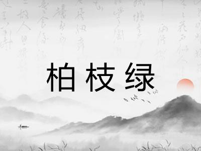 柏枝绿 柏枝绿
