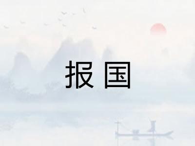 报国