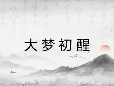 大梦初醒