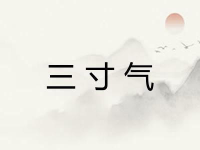 三寸气 三寸气