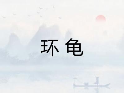 环龟 环龟
