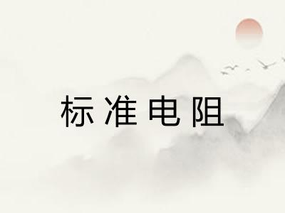 标准电阻 标准电阻