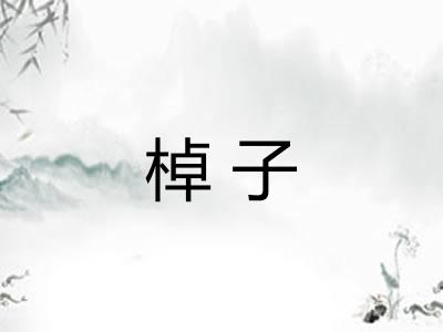 棹子