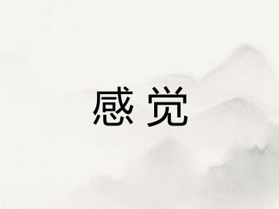 感觉