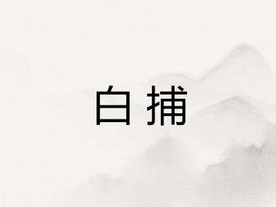 白捕 白捕