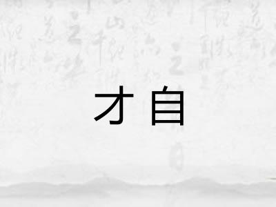 才自