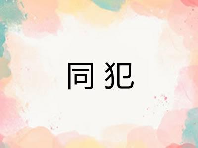 同犯