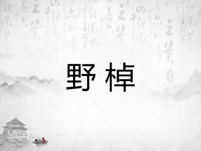 野棹 野棹