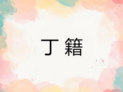 丁籍 丁籍