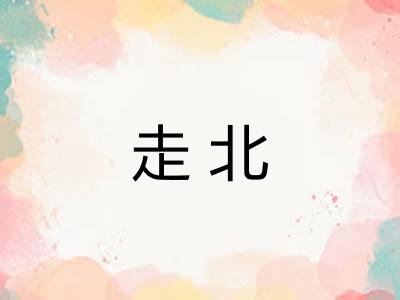 走北