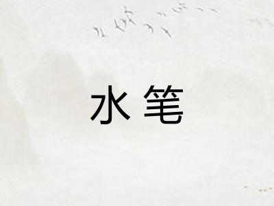水笔 水笔
