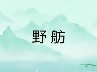 野舫
