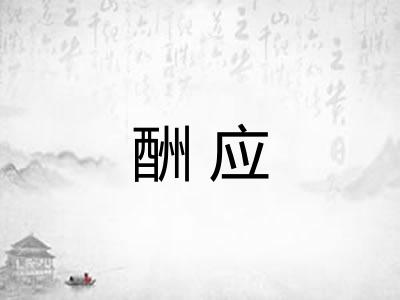 酬应