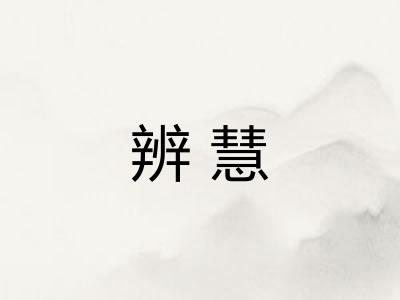 辨慧
