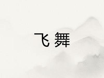飞舞 飞舞
