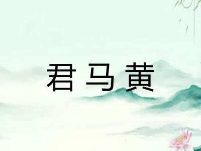 君马黄 君马黄