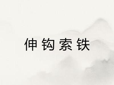 伸钩索铁