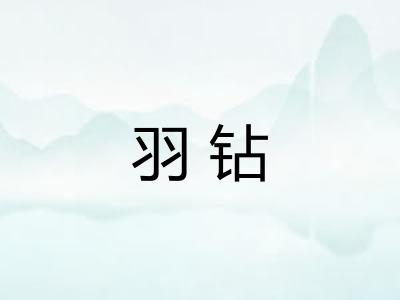 羽钻