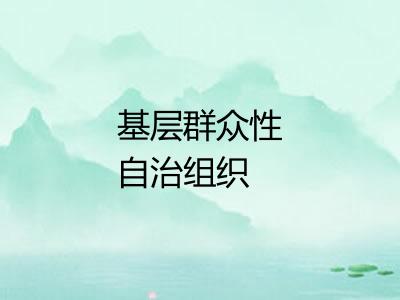 基层群众性自治组织 基层群众性自治组织