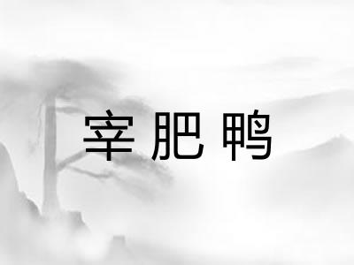 宰肥鸭