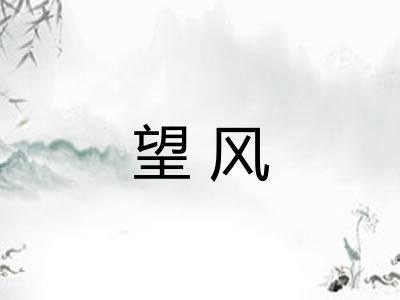 望风