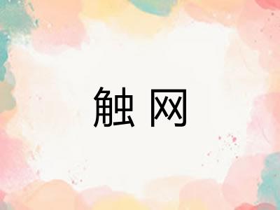 触网 触网