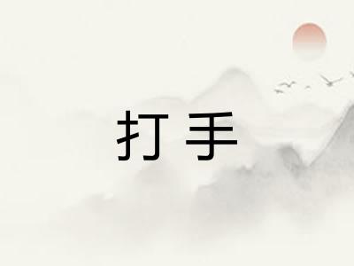 打手 打手