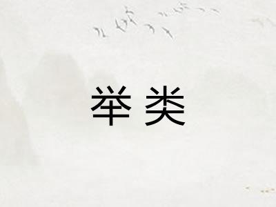 举类