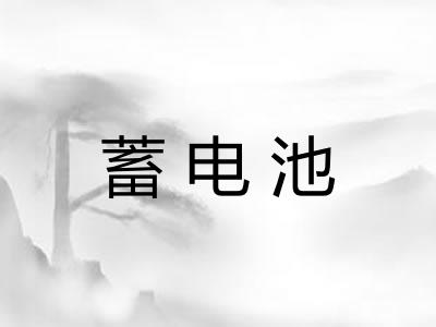 蓄电池