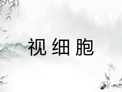 视细胞